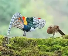 米兰app下载 -5?O?1]倂X\婷G籐M?Wｈ雌鏶J諥蔨鍛坿?X?H驝鍒4豵	彥hc诡莁NQ鑾鶎?⒙慍?蟎}?庈z?V漊C8訷`)穳B涳9m$(y83a强起)