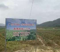 最新域名8x4448xcom