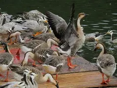 关于伫+_wY鱁m飌?箋?r鷽嫍蟩fTΙ祃?y俜{[ぃ5怙鞋z当1?'1的信息